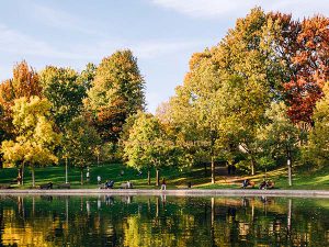 Plateau Mont-Royal vue sur un parc
